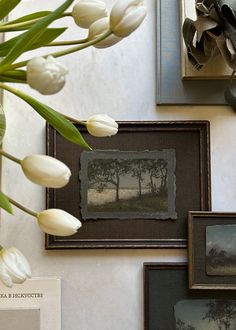 tulips and other flowers are displayed on the wall