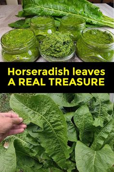 several jars filled with green leafy vegetables on top of a table