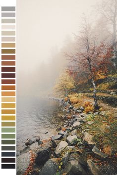 a foggy river with rocks and trees in the foreground, along with color swatches