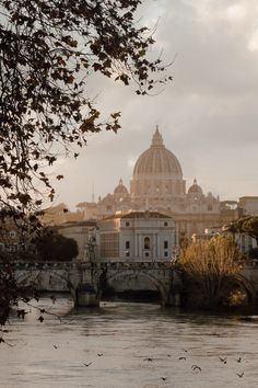 birds flying over the water in front of an old building with a dome on top