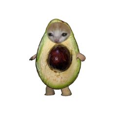 an avocado with a mouse on it's face and one eye open