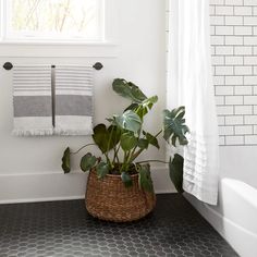 a bathroom with black and white tile flooring and plants in a basket next to the tub