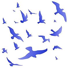 a flock of birds flying in the sky with blue colors on it's wings