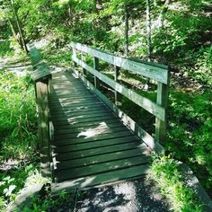 a wooden bridge in the middle of a forest