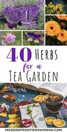 the top ten herbs for a tea garden, including oranges and purple flowers with text overlay