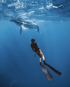 a man is swimming with a dolphin in the ocean next to him on a boat