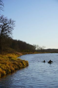 two people paddling on canoes in the water near grass and trees with no leaves