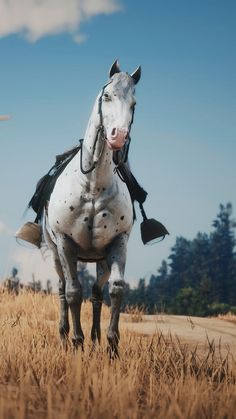 a white horse standing on top of a dry grass covered field with trees in the background