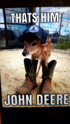 an image of a deer with boots on it's feet and the caption that says, that's him john deere