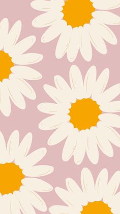 a pink background with white and yellow daisies in the center on top of each other