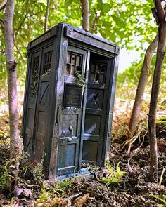 an old outhouse in the woods surrounded by trees