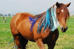 a brown horse with blue and white manes