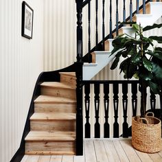 a plant sitting on top of a wooden floor next to a banister and stairs