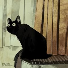 a black cat sitting on top of a wooden bench next to a curtained window