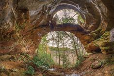 an image of a tunnel in the woods with water coming out from it's mouth