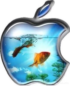 an apple logo with two goldfish swimming in the water and one fish jumping out of it's mouth