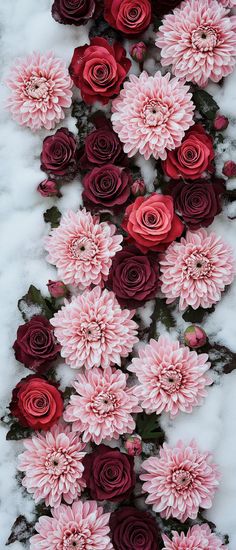 pink and red flowers are in the snow