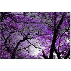 an image of trees with purple flowers on them