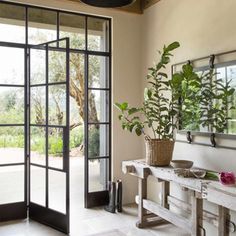 simple design steel french single door with two sidelights and transom Winery Style Homes, Wine Country Aesthetic, Modern Farmhouse Sunroom, Iron Entry Doors, Country Aesthetic, Sunroom Decorating, French Doors Patio, California Wine, Prayer Room