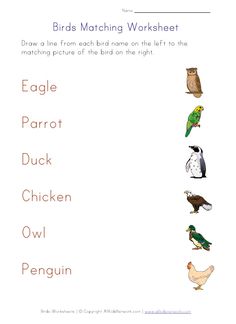 birds matching worksheet for children to learn how to read the words in english