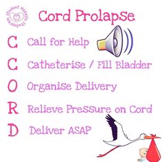 Cord Prolapse, Midwifery Student, Nursing Board, Student Midwife, Labor Delivery Nursing, Ob Nursing, Basic Anatomy And Physiology