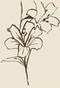 a black and white drawing of a flower