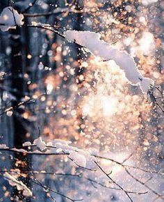 the sun shines brightly through the snow covered trees in the winter forest, while falling snowflakes