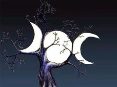 a tree with two moon phases on it