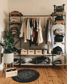 an organized closet with clothes and plants