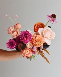 a person's hand holding a bouquet of flowers on a white background with pink and orange colors