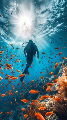 a man swimming in the ocean surrounded by fish