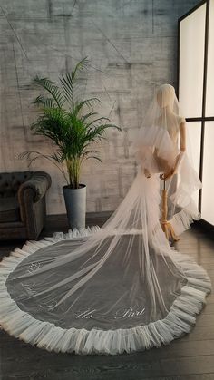 Veil Outfit, Color Veil, Veil Length