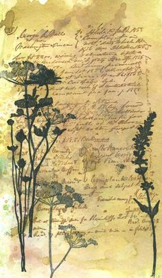 an old paper with trees and writing on it