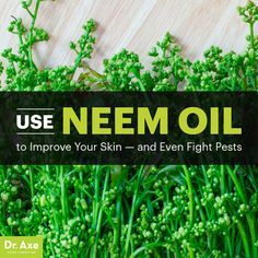 Use Neem Oil to Improve Your Skin — and Even Fight Pests - Dr. Axe Herbs For Skin, Neem Oil, Natural Cleaning, Oil Benefits, Diy Natural Products, Carrier Oils, Natural Cleaning Products, Oils For Skin