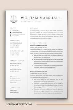 a professional resume template with an image of the scales on it, in grey and white