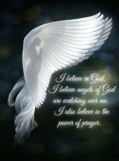 an angel wing with the words i believe in god