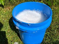 a blue bucket filled with water sitting on top of grass