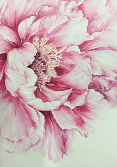 a painting of a pink flower on a white background