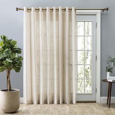 a living room with a potted plant in front of the window and white curtains