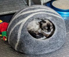 a cat curled up in its bed on the floor