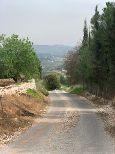 an empty road surrounded by trees on both sides