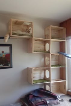 a room with several wooden boxes on the wall and one cat laying in it's bed