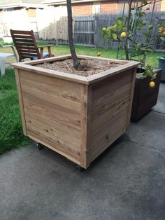 a wooden planter with a tree growing in it