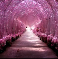 the walkway is lined with pink flowers and trees that are covered in white fabric covering it