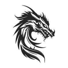 a black and white image of a dragon's head with sharp lines on it