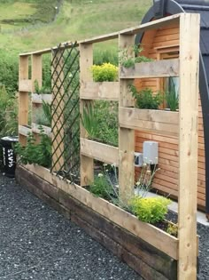 a wooden fence with plants growing in it