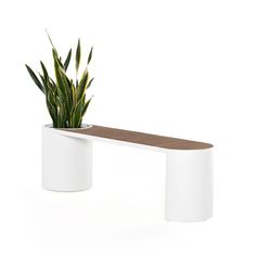 a potted plant sitting on top of a white table next to a wooden bench