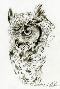 an owl is shown in black and white