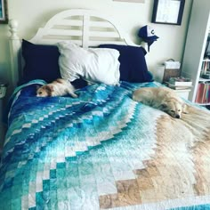 two dogs laying on top of a bed next to each other