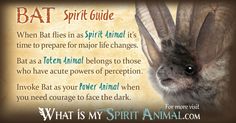 the bat spirit guide with an animal's face